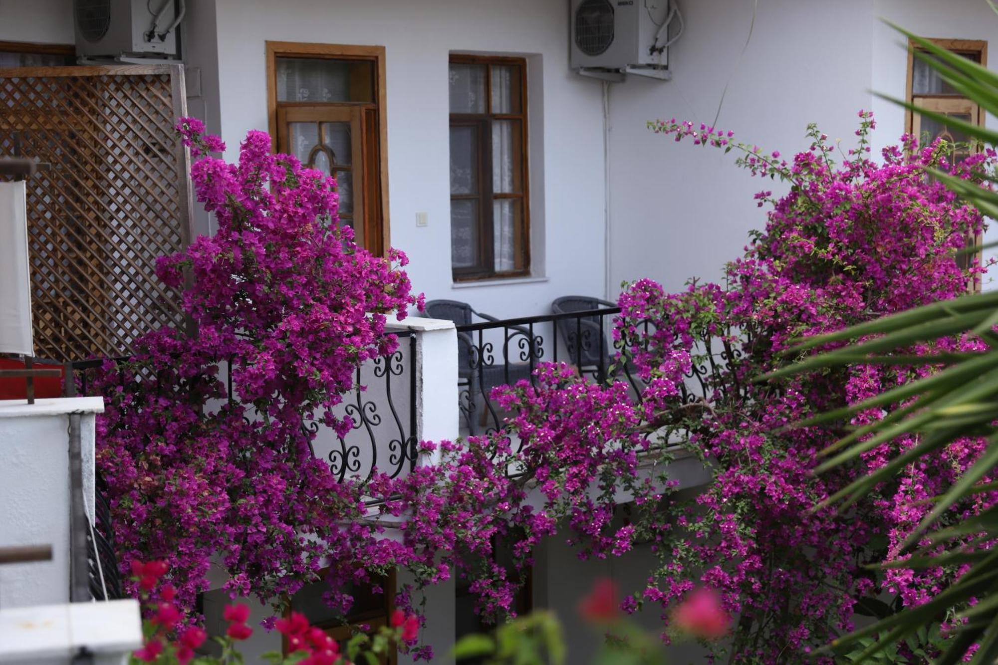 Yeni Doga Hotel Dalyan Eksteriør billede